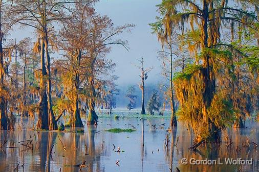 Lake Martin At Sunrise_45833.jpg - Photographed at Lake Martin near Breaux Bridge, Louisiana, USA.